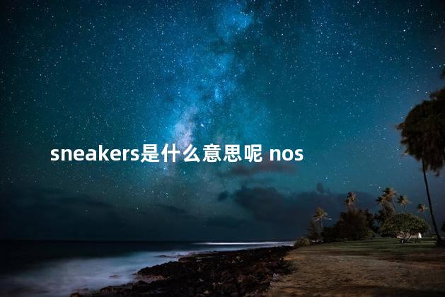 sneakers是什么意思呢 nose是什么意思